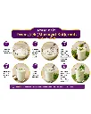 Moringa Powder_Making.webp